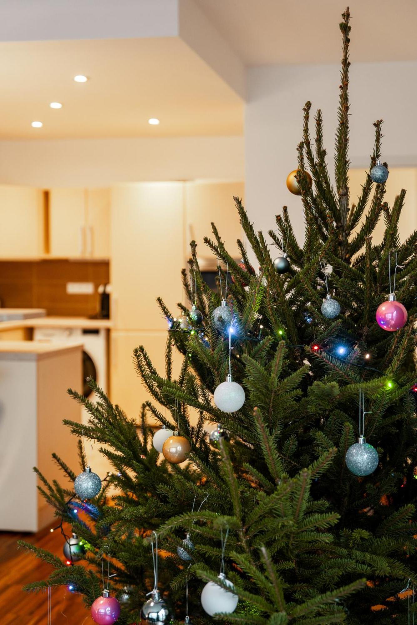 Auriapartments Karlin 2kk S Terasou A Parkovanim * Praga