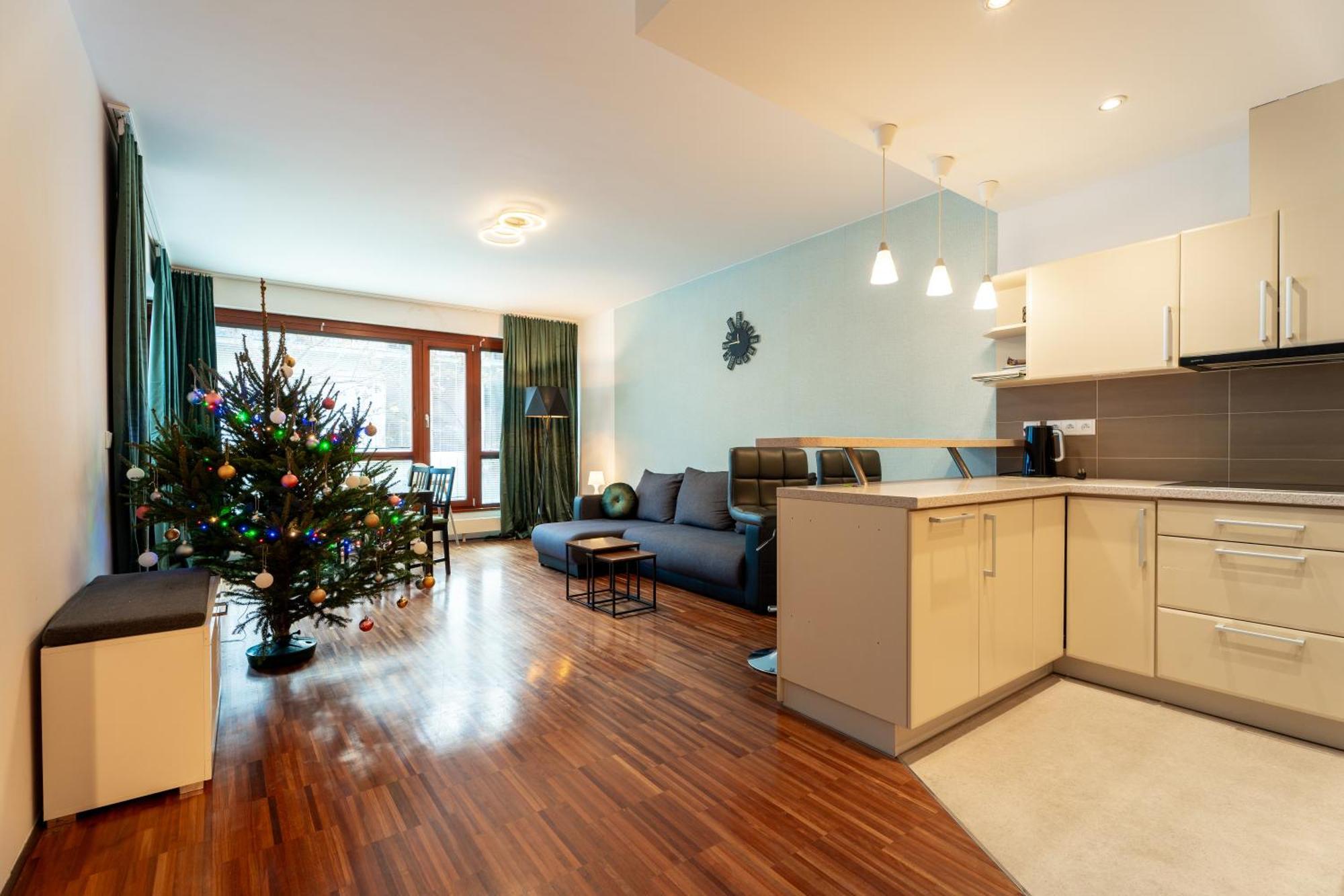Auriapartments Karlin 2kk S Terasou A Parkovanim Apartament Praga